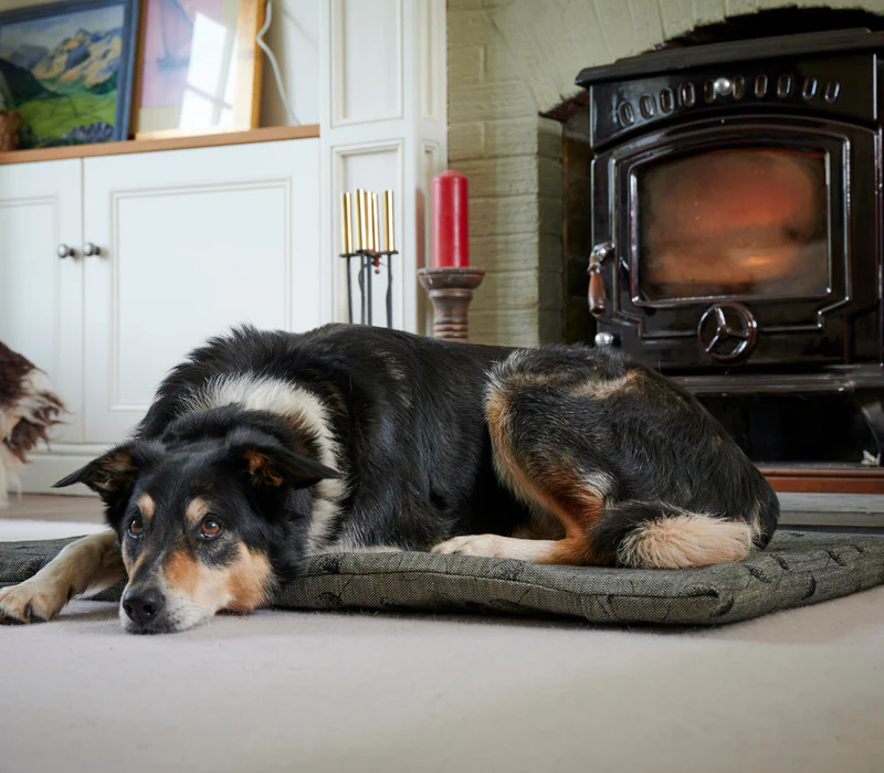 Warm Homes, Greener Planet