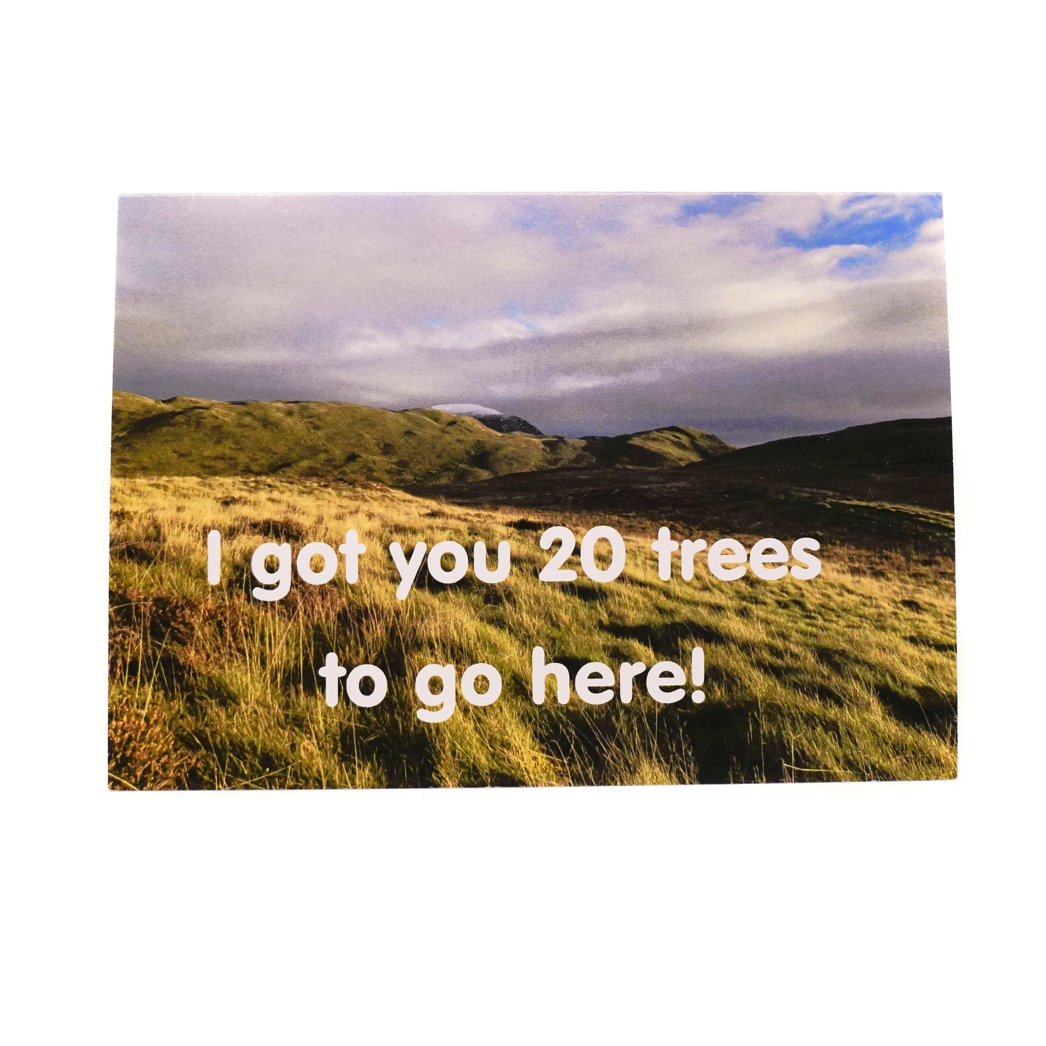 20 Trees Voucher - Image 3