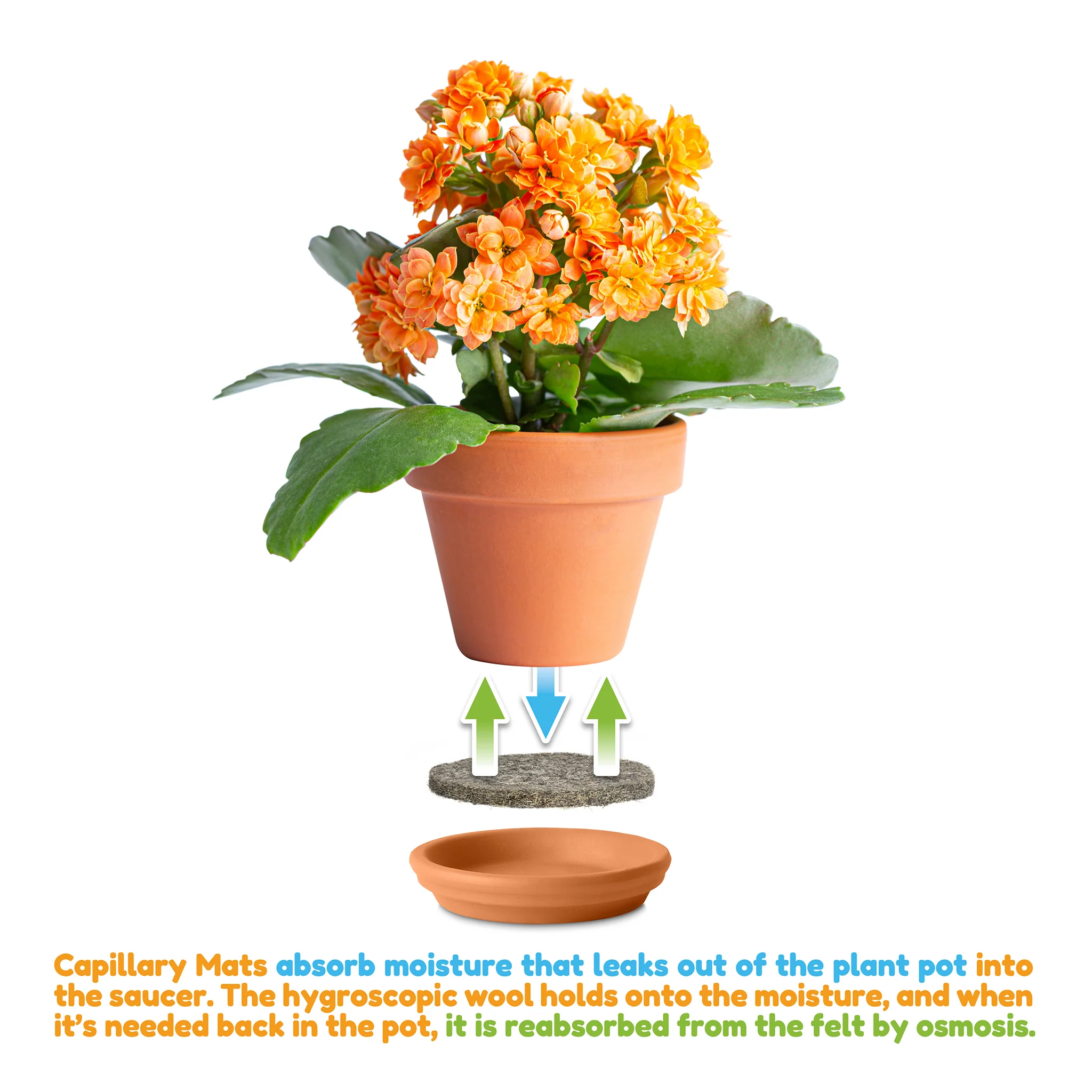 13cm Pure Wool Capillary Mats for Plant Pots - Pack of 10 - Image 2