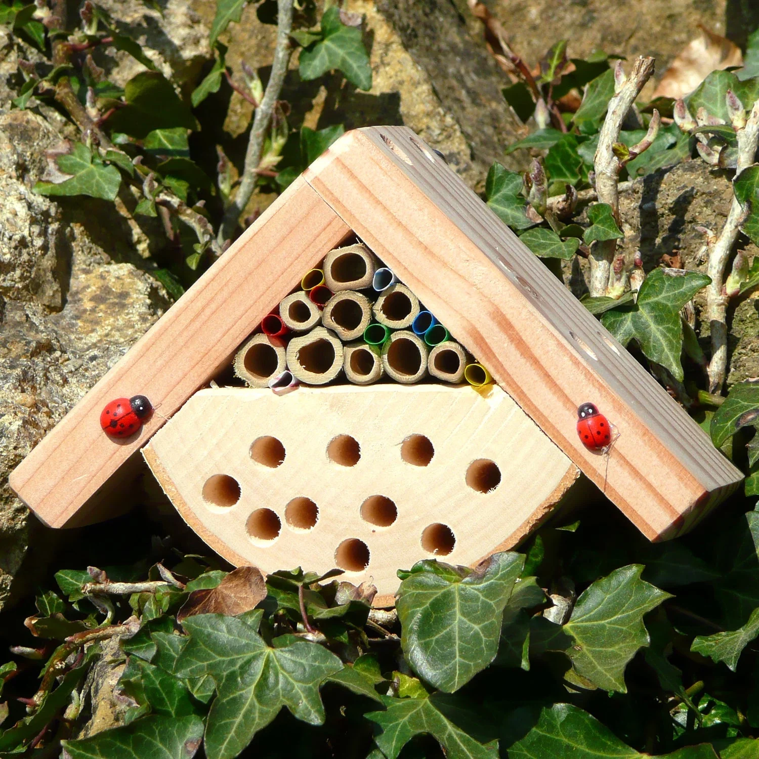 Bobby’s Bug Box for Kids