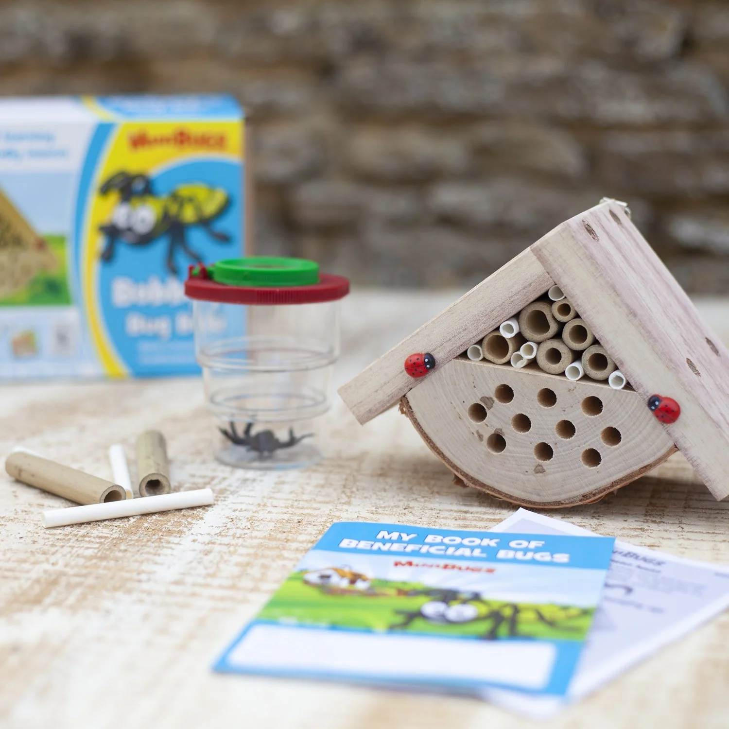 Bobby’s Bug Box for Kids - Image 2