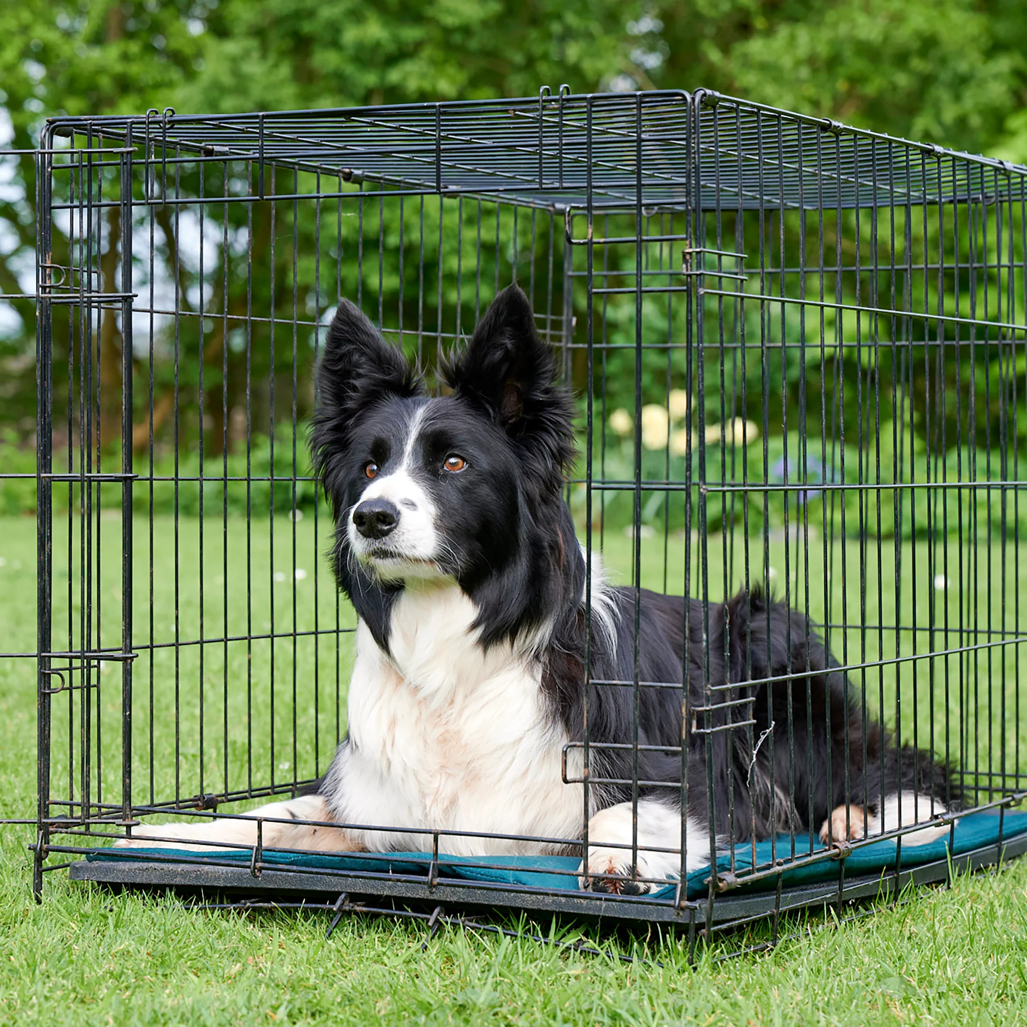 Sustainable Wool Dog Crate Mat