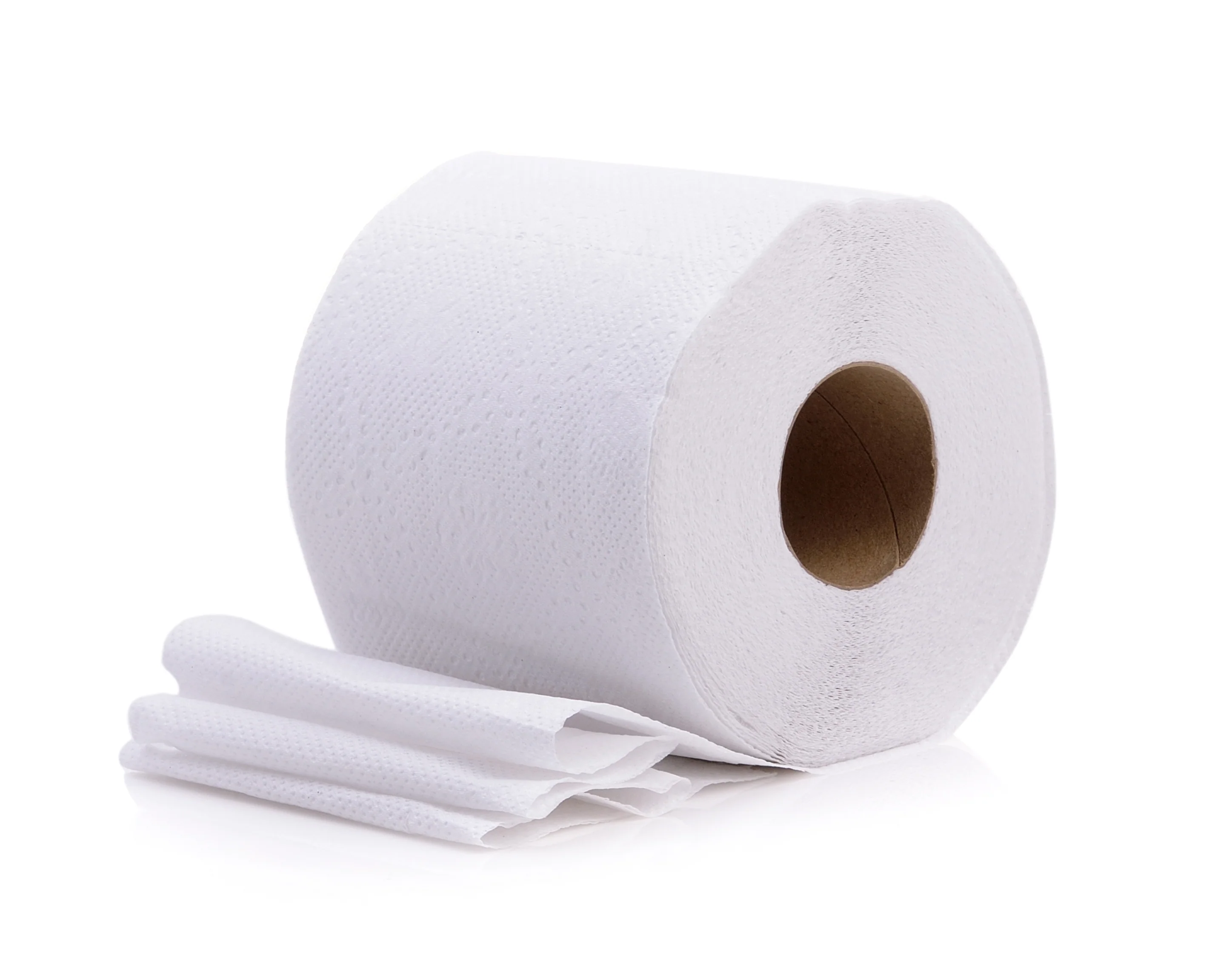 Recycled Paper Toilet Roll