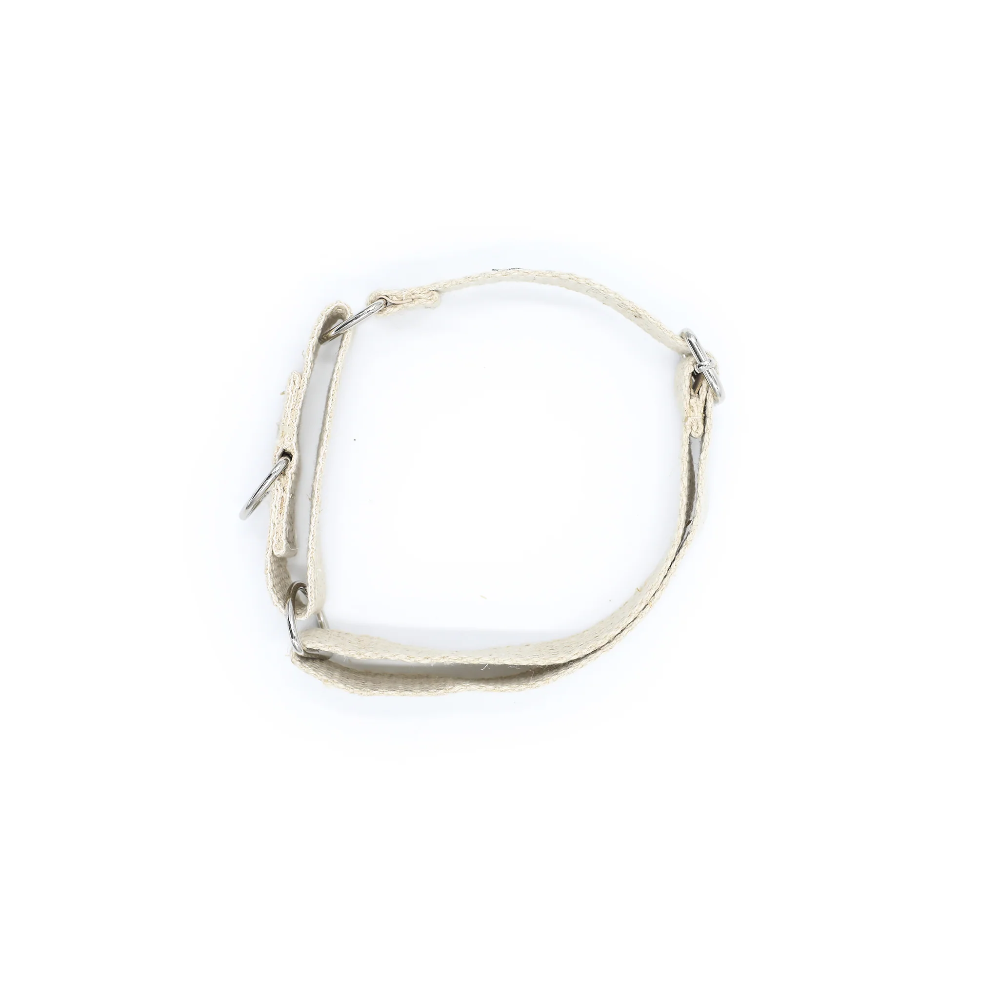 Hooman's Friend Martingale Dog Collar - Image 4