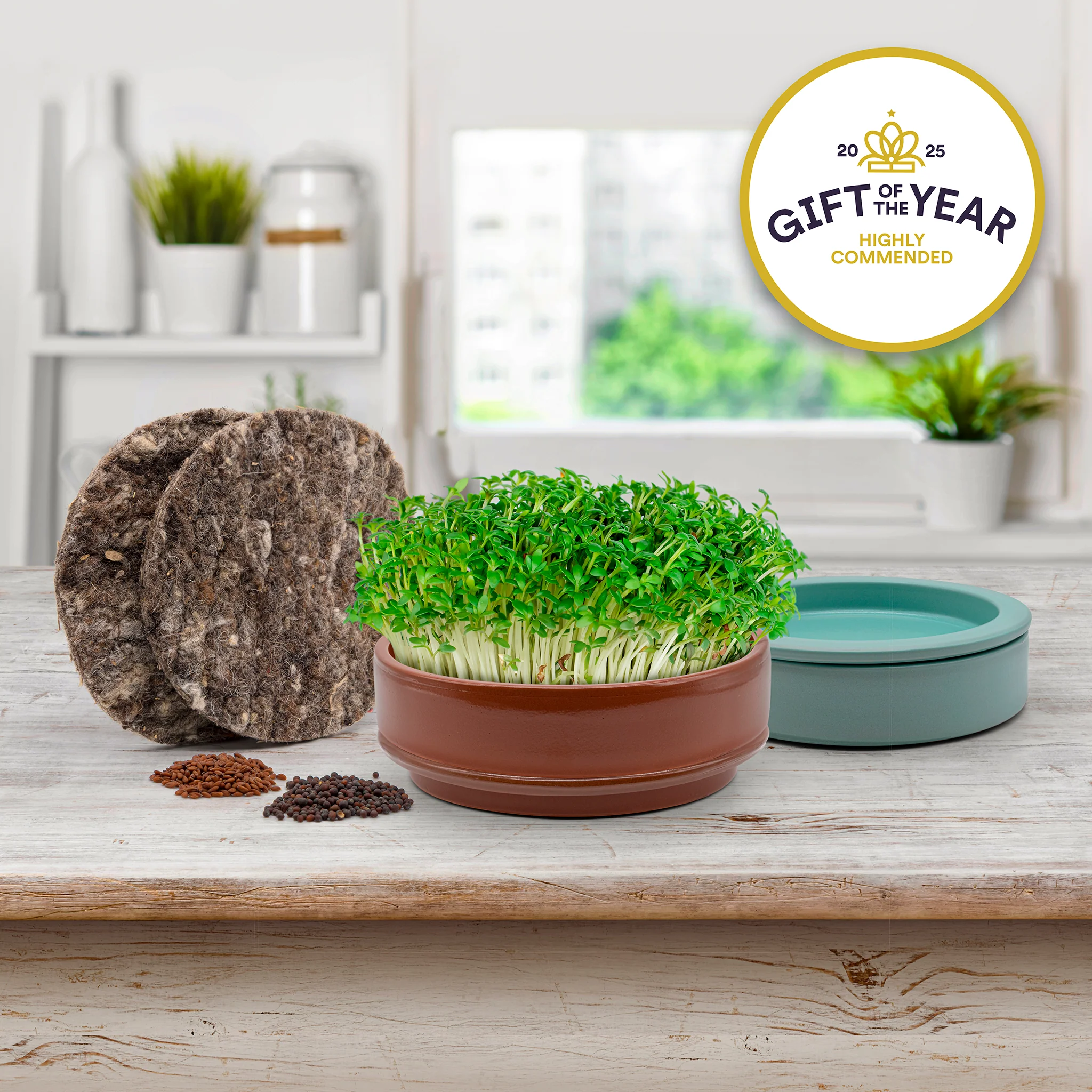 Terracotta Microgreen Grower