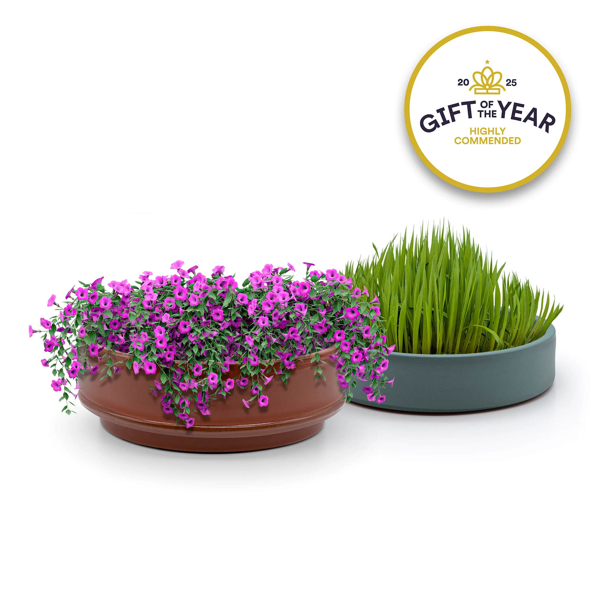 Terracotta Microgreen Grower - Image 10