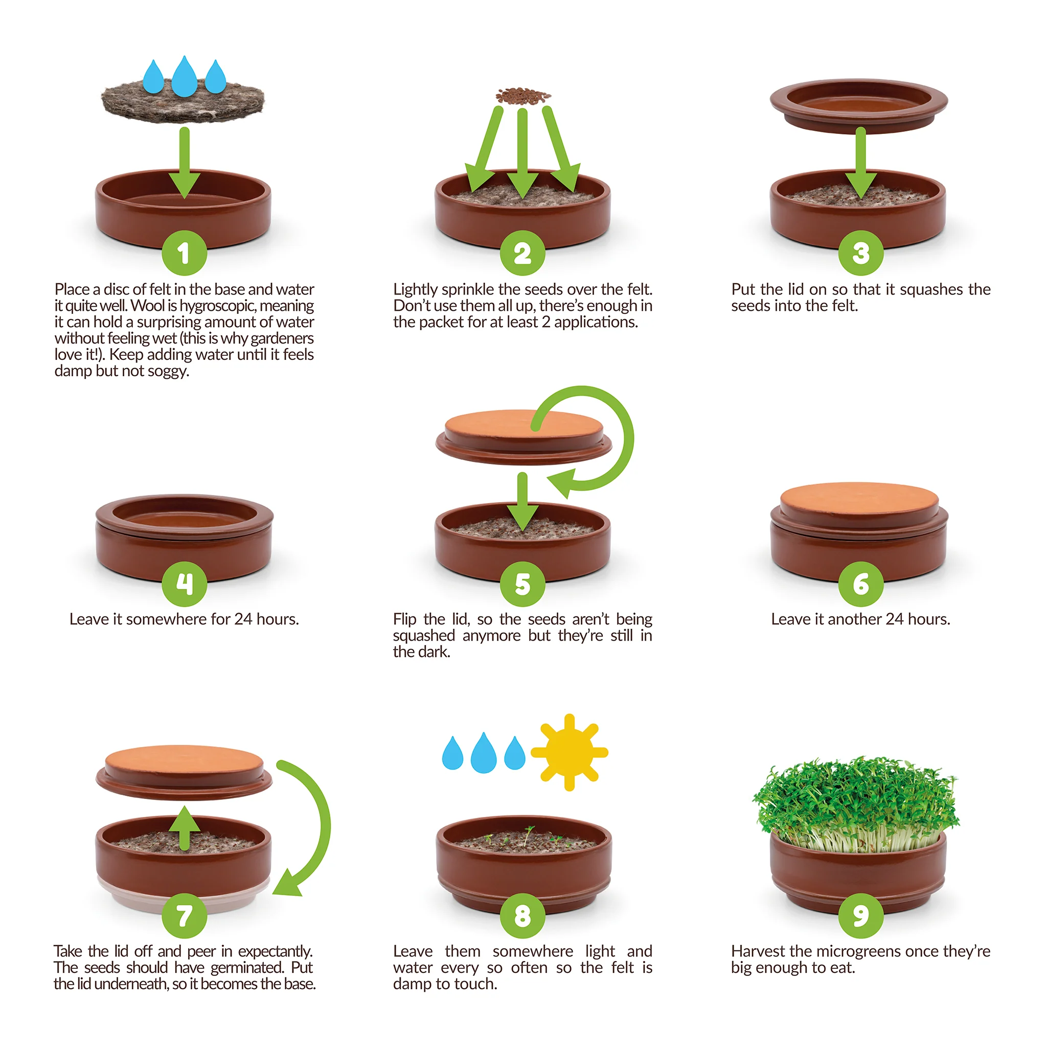 Terracotta Microgreen Grower - Image 3