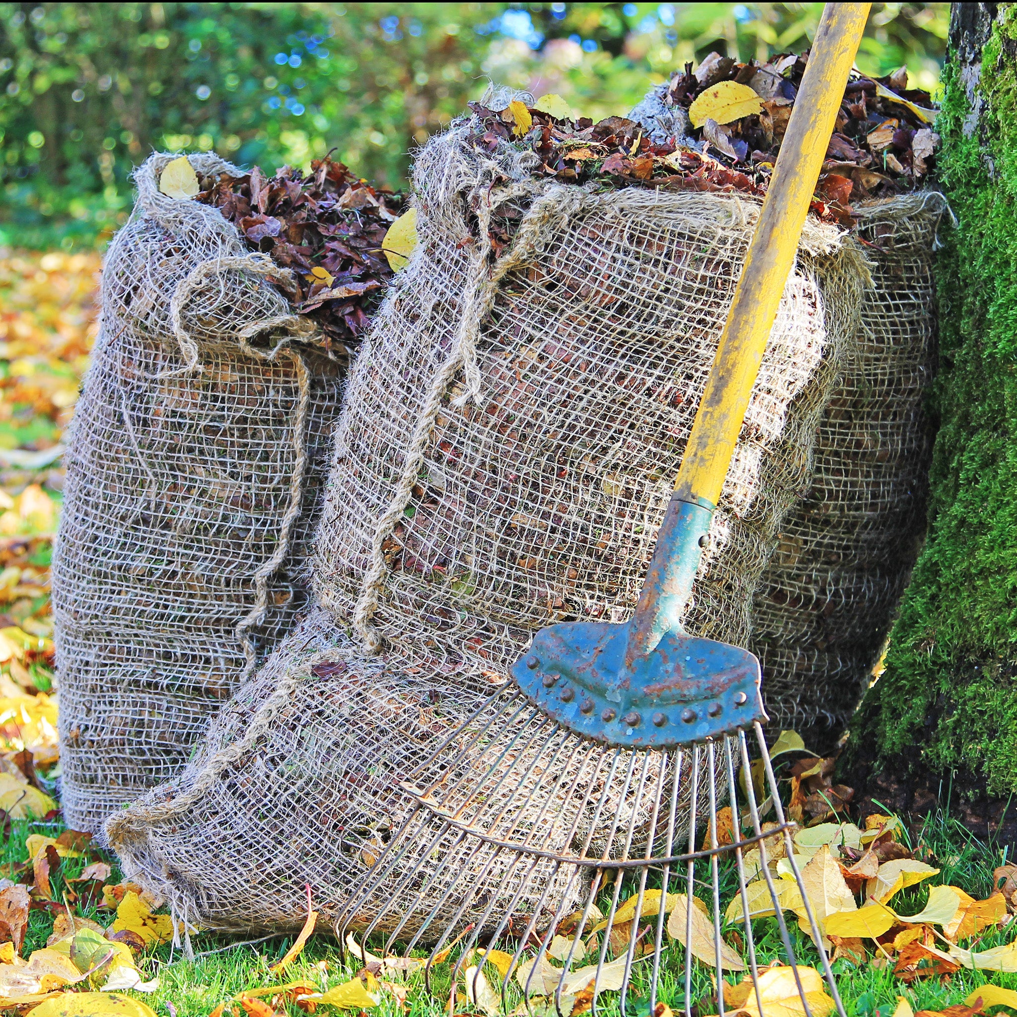 Nutscene Leaf Sack Pack of 2