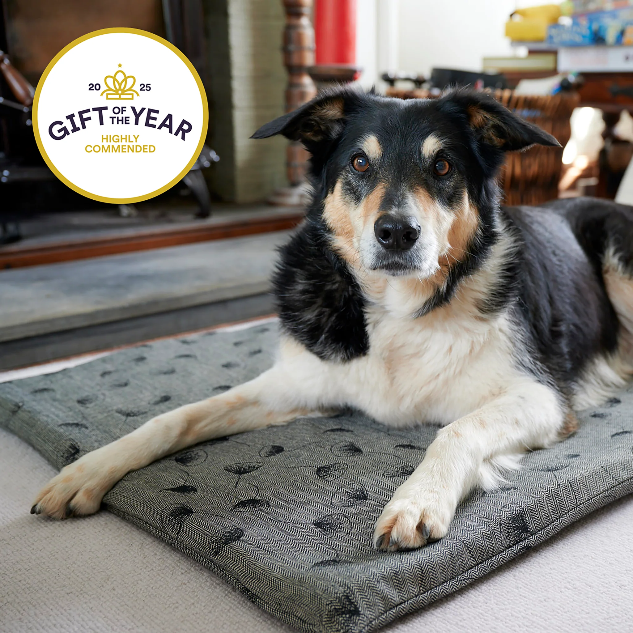 Organic fabric and wool Roll-up Travel Dog Bed - Image 15