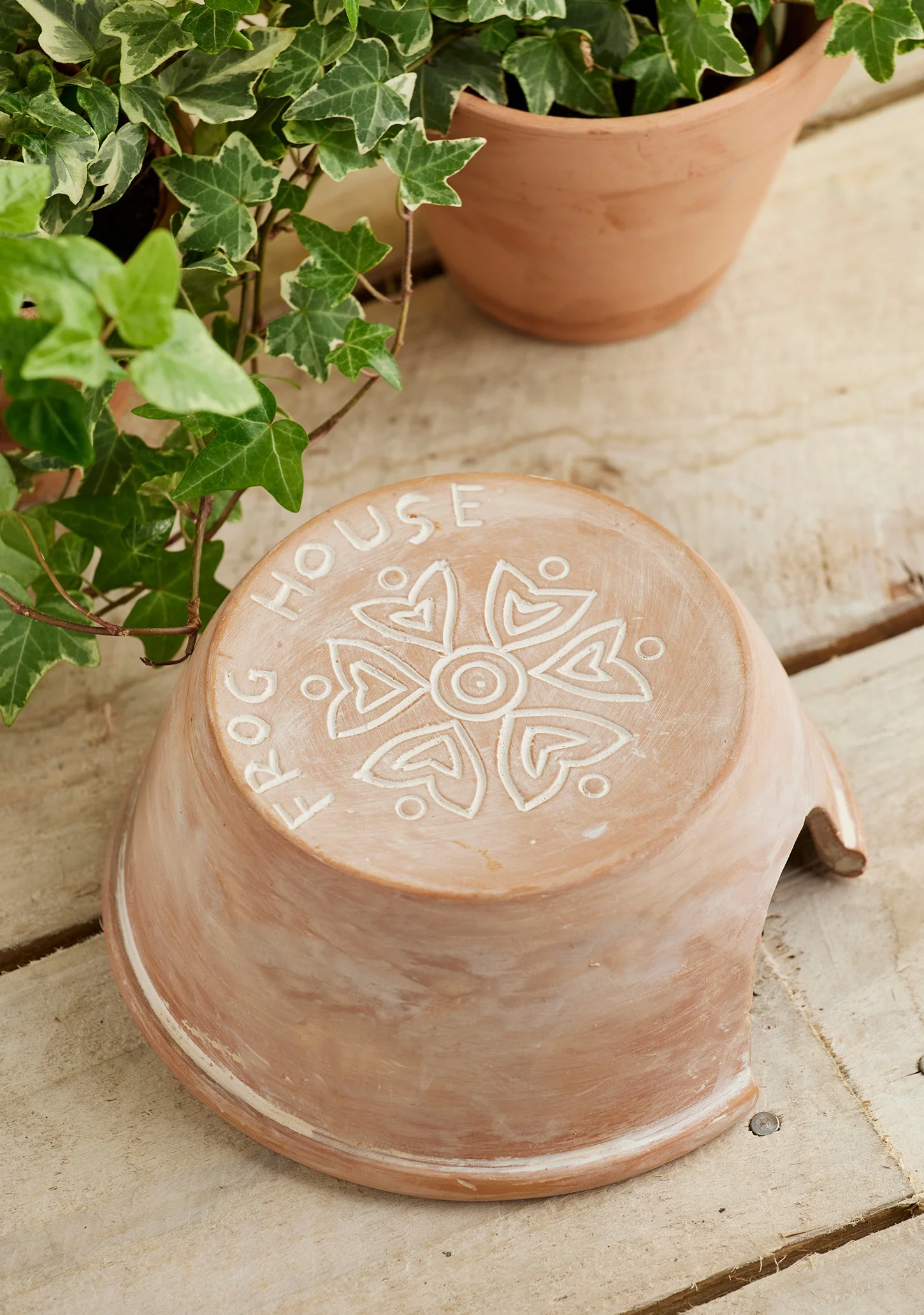 Namaste Terracotta Frog House - Image 3
